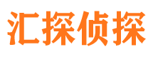 柳南市私家侦探